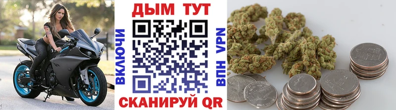 Конопля планчик  Полысаево 